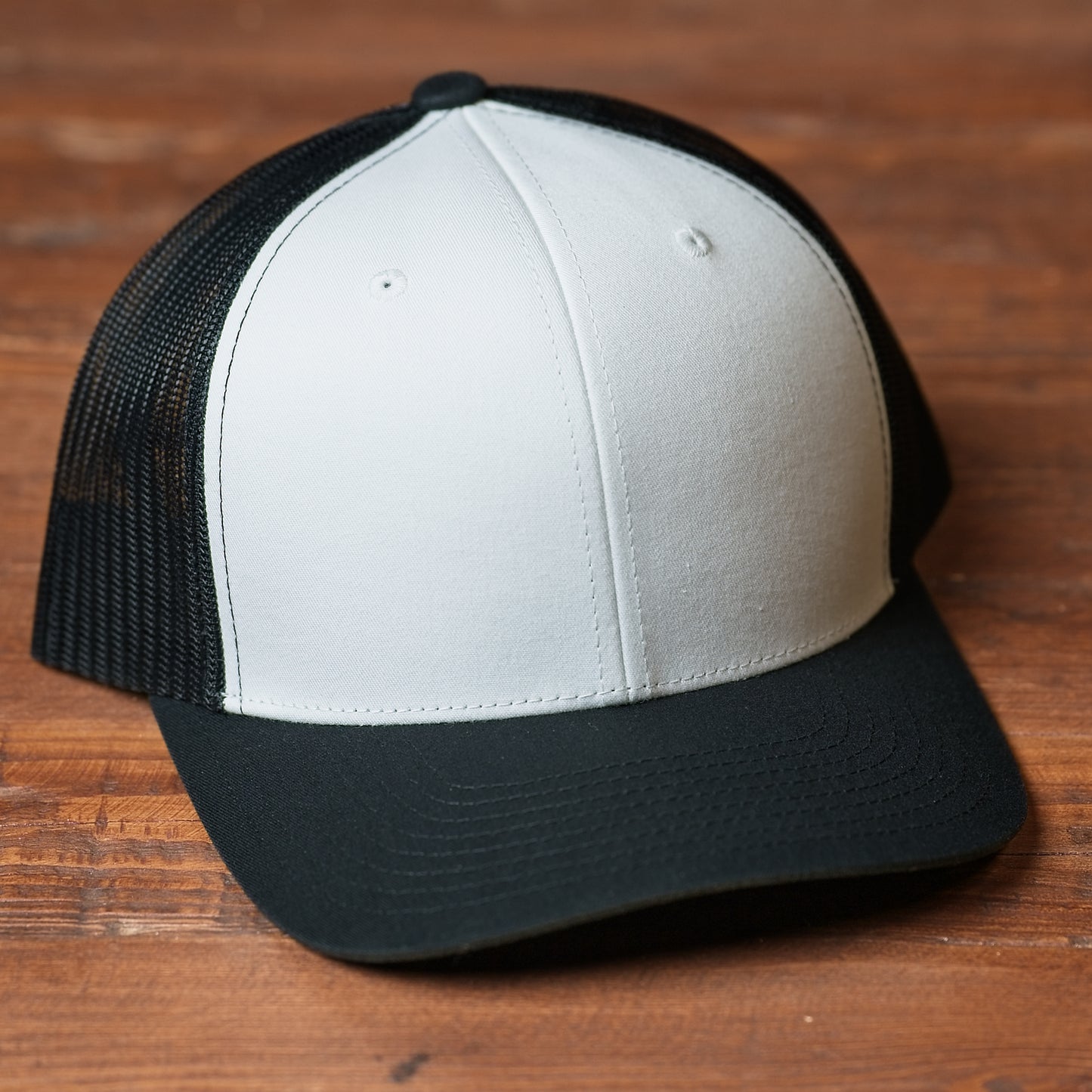 German Shorthair Pointer Dog