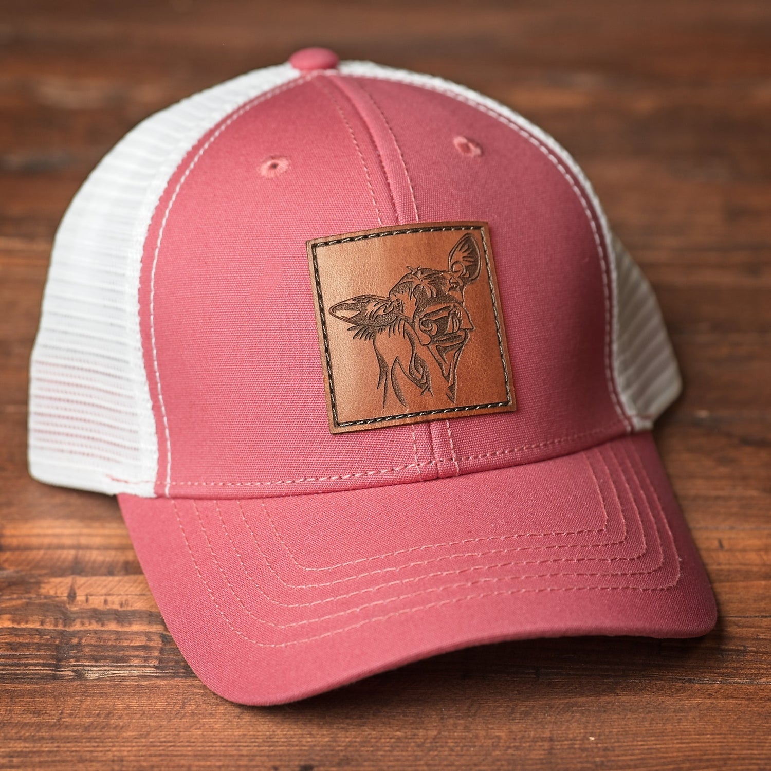 Wildlife & Animals Collection