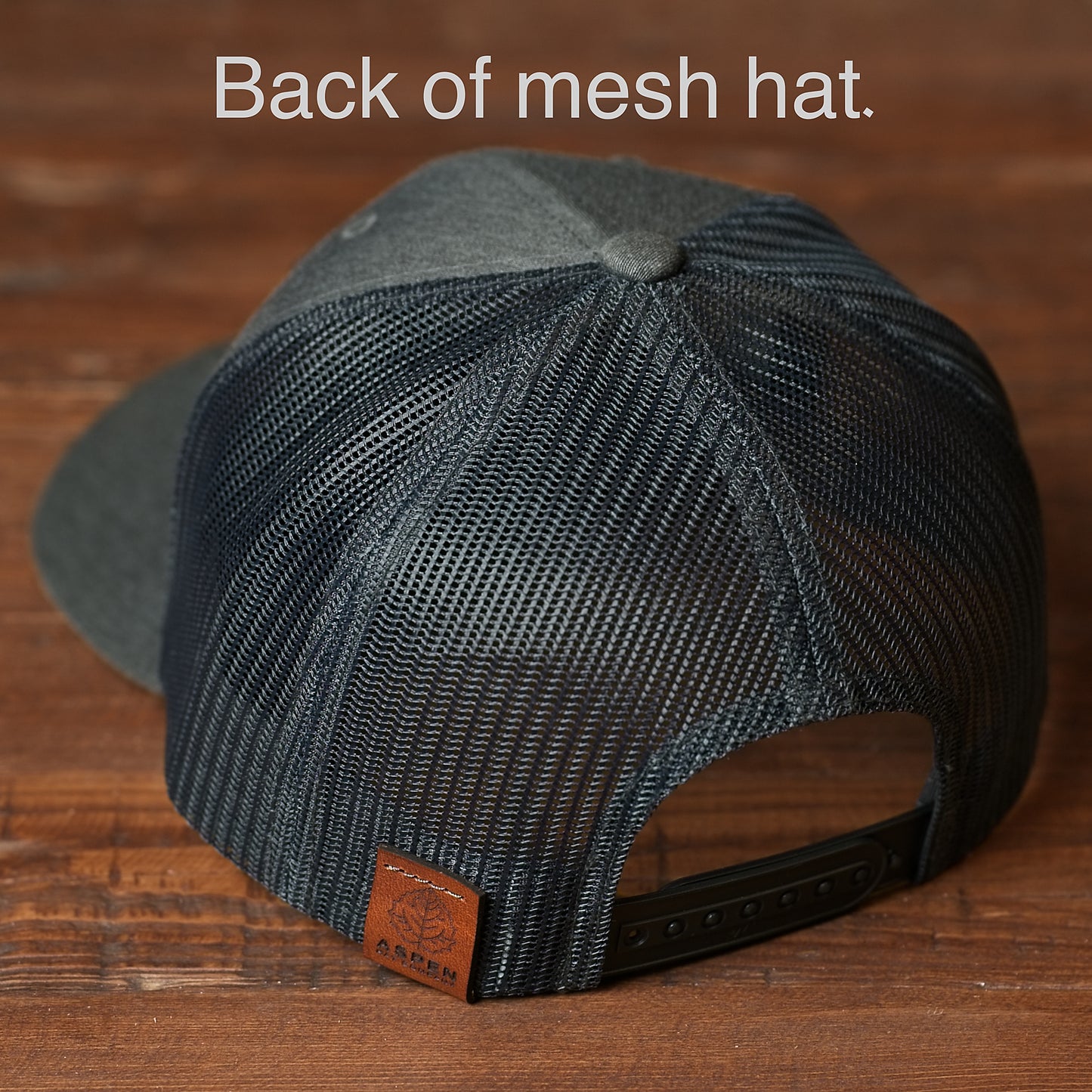 German Shorthair Pointer Dog