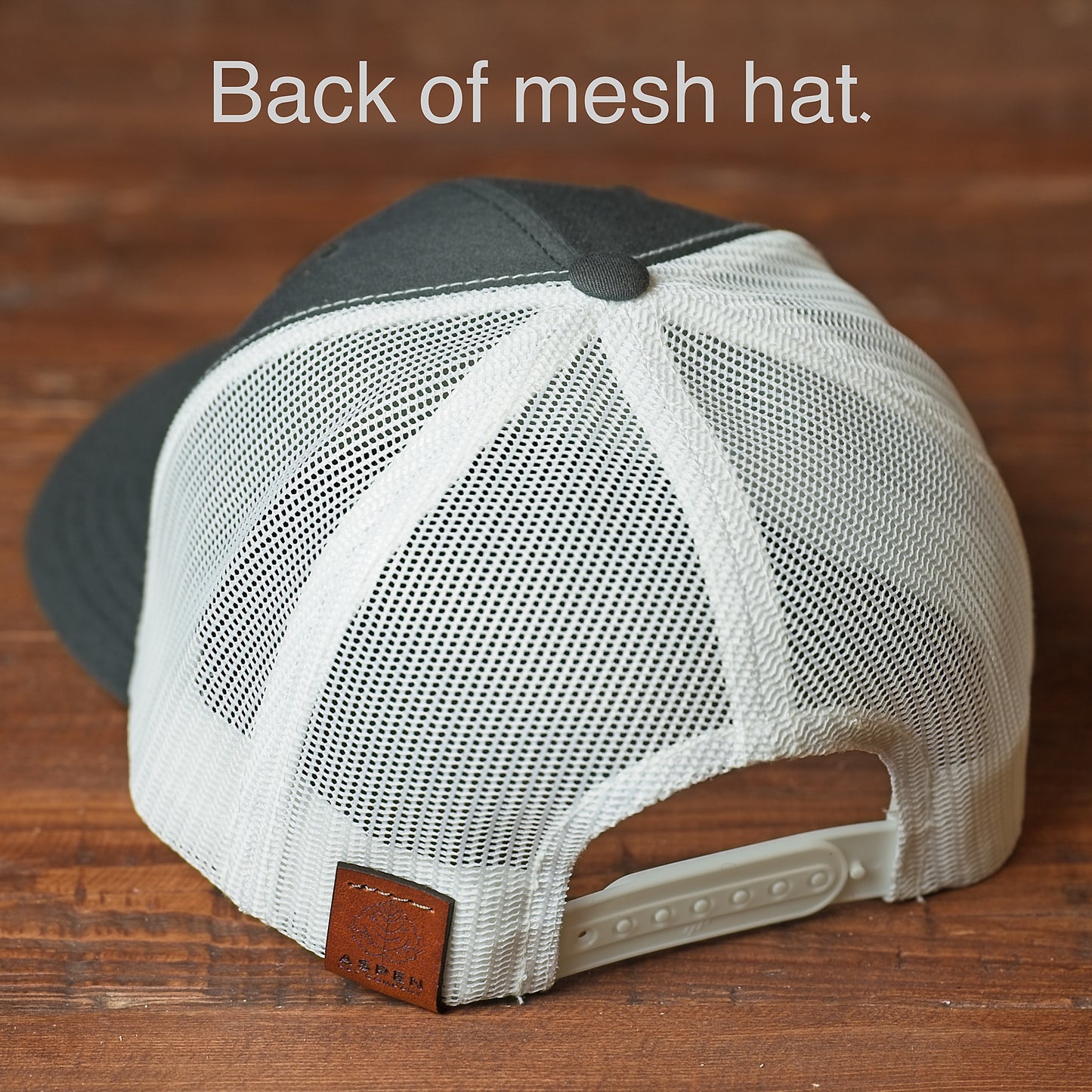 German Shorthair Pointer Dog