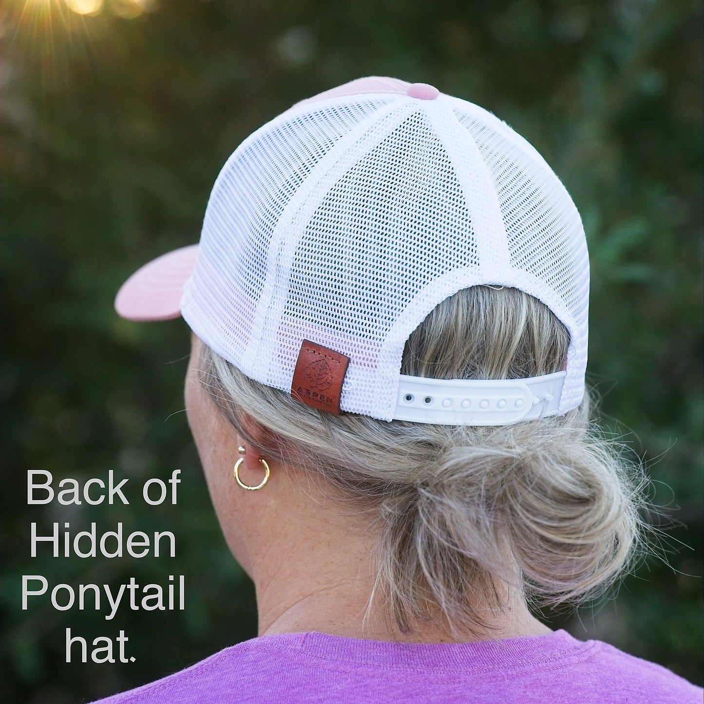 German Shorthair Pointer Dog