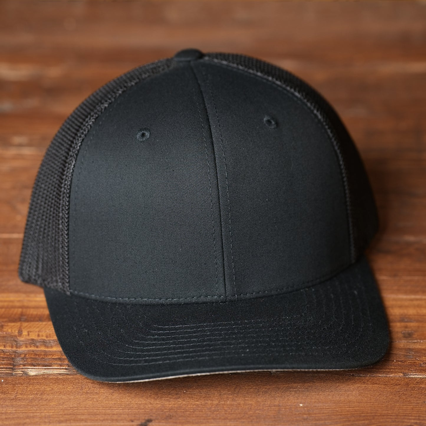 German Shorthair Pointer Dog