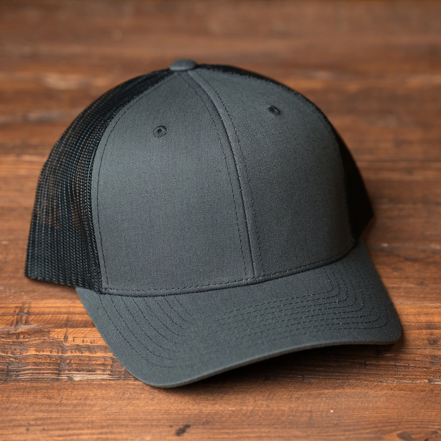 German Shorthair Pointer Dog