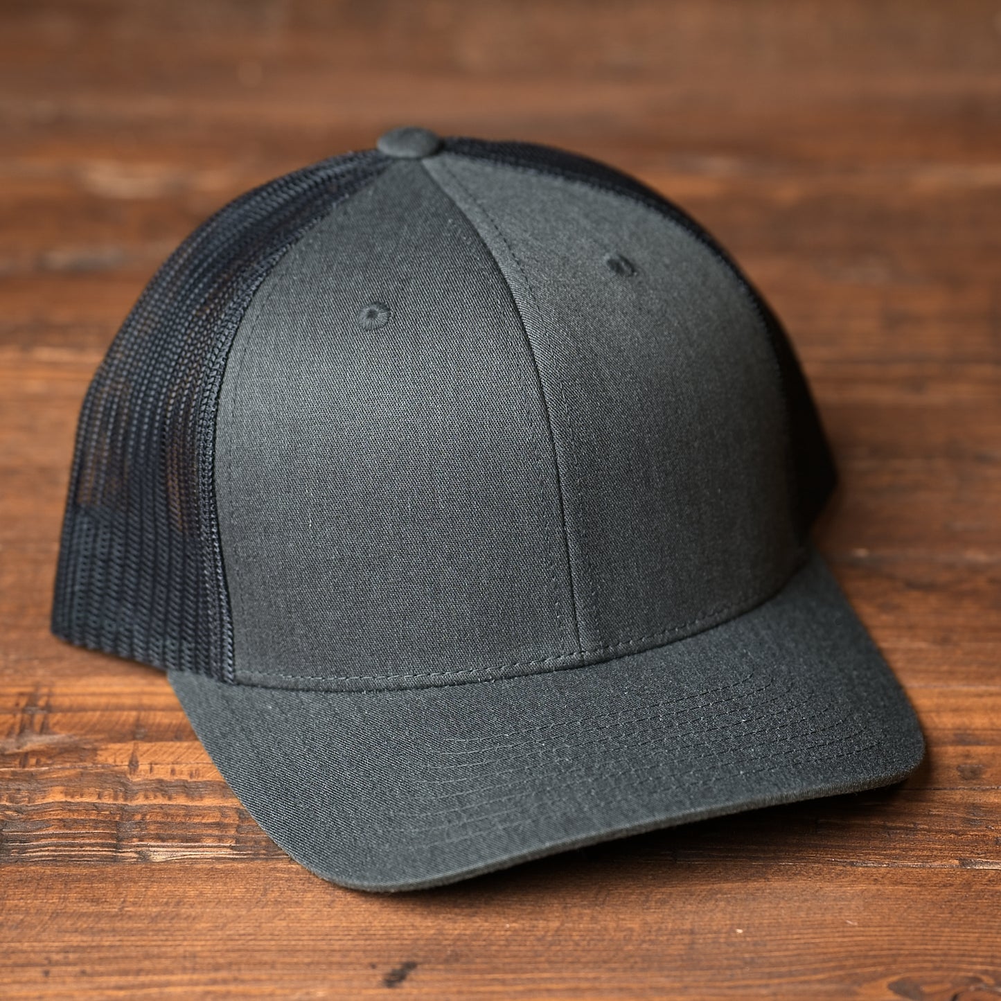 German Shorthair Pointer Dog