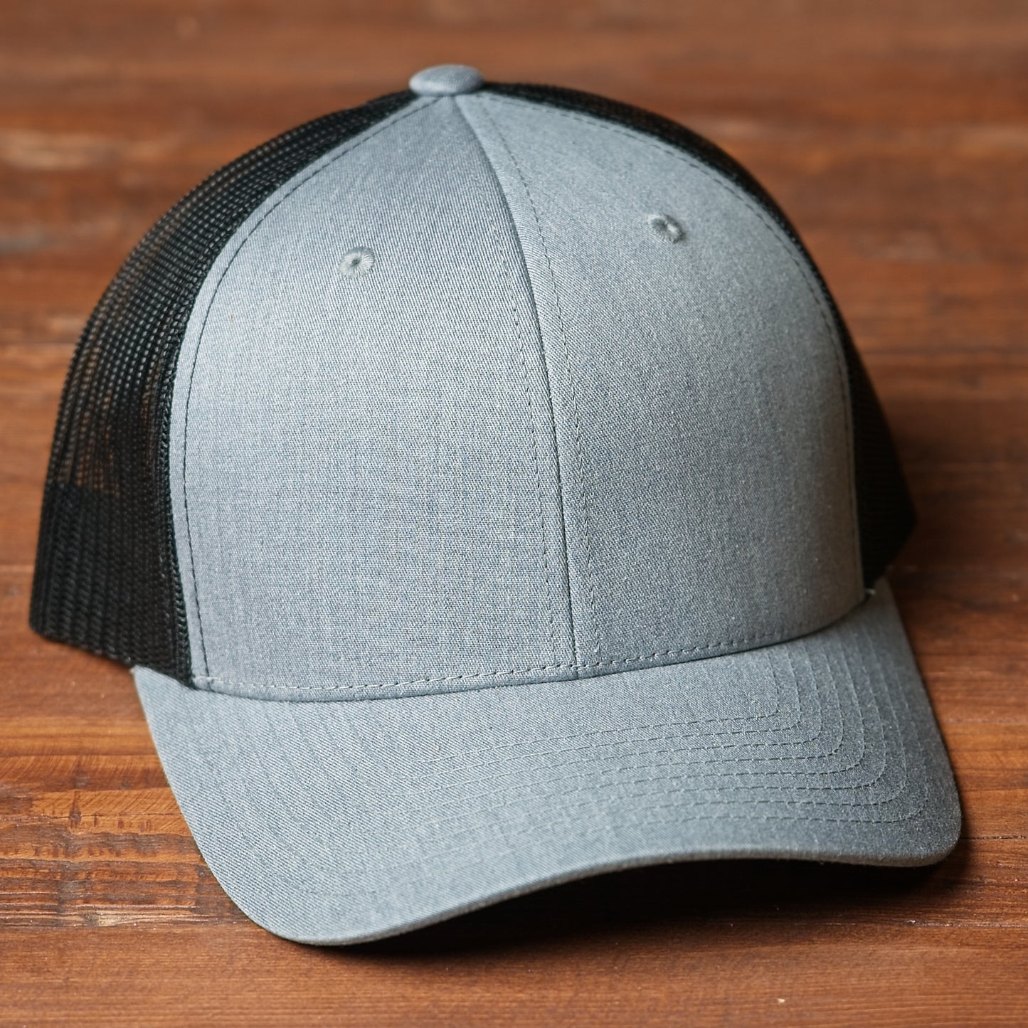 German Shorthair Pointer Dog