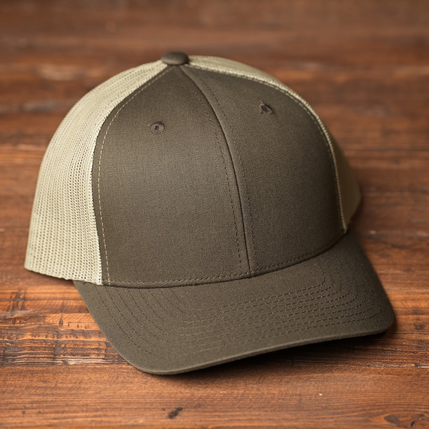 German Shorthair Pointer Dog