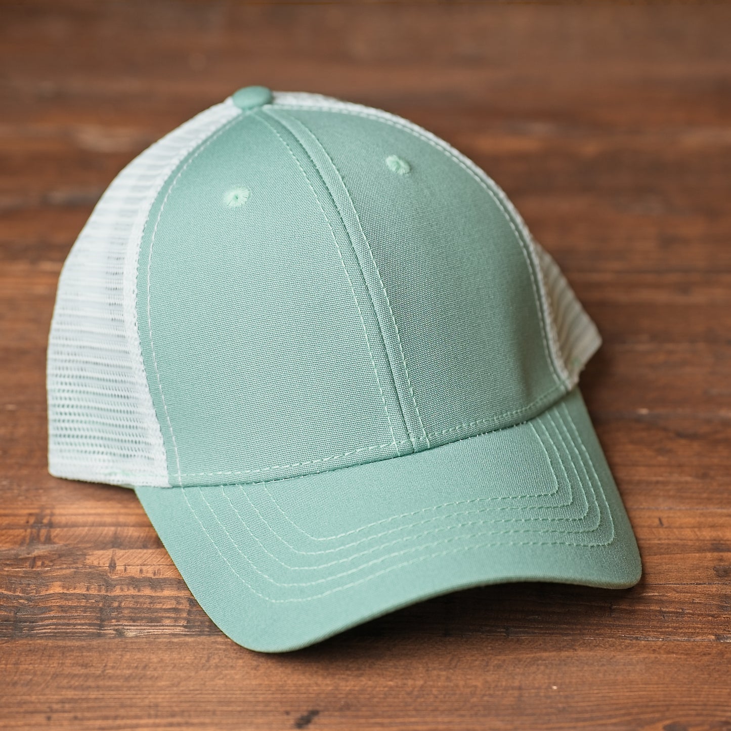 German Shorthair Pointer Dog