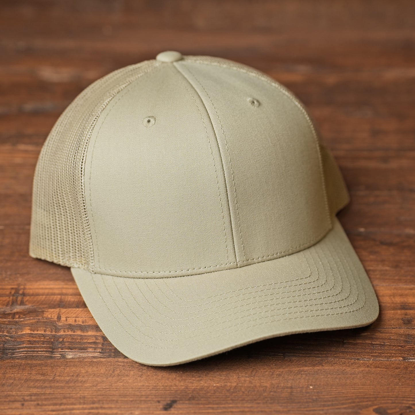 German Shorthair Pointer Dog