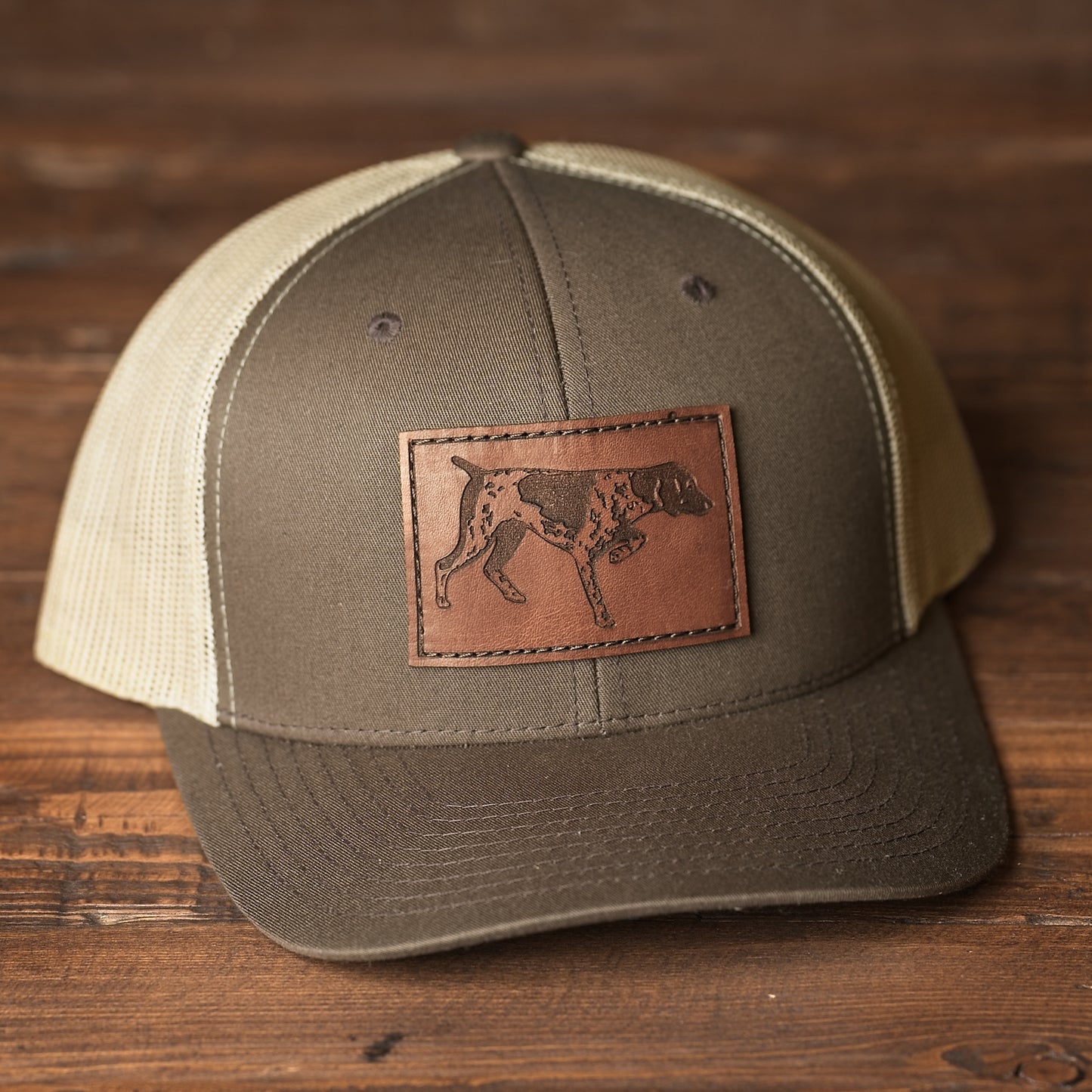 German Shorthair Pointer Dog