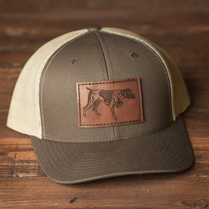 German Shorthair Pointer Dog