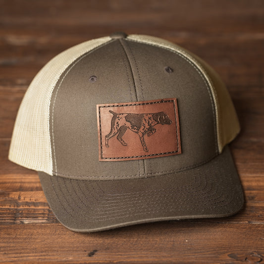 German Shorthair Pointer Dog